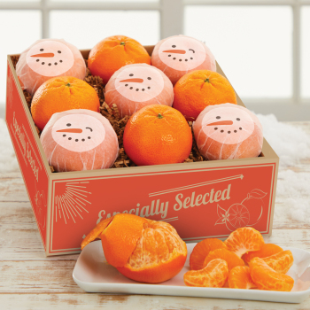 Frosty Delights Frosty Delights