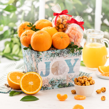 Coastal Holiday Sampler