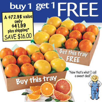 Navel Orange - Each : Target