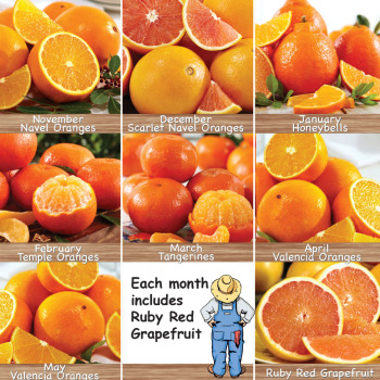 Navel Oranges, Best Sellers: Countryside Citrus