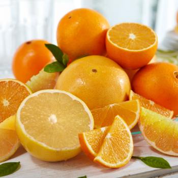 Product Image of White Grapefruit and Navels