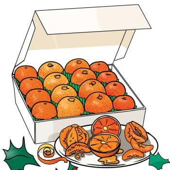 Florida Oranges are the Best