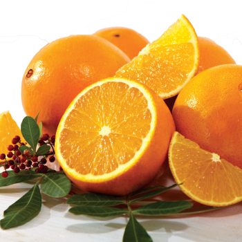 Product Image of Sunshine Navel Oranges