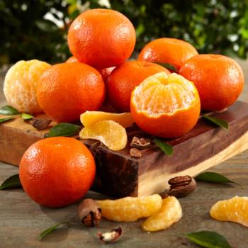 Product Image of Temple Oranges