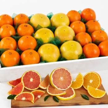 Navel Oranges, Best Sellers: Countryside Citrus