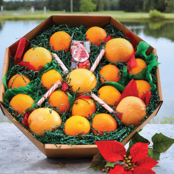 Product Image of Countryside Wreath Large