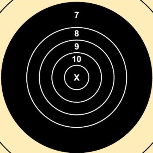 MR-1C F-Class (Repair Center) Non-Official NRA Targets