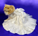 Kitteh Bridal Gown
