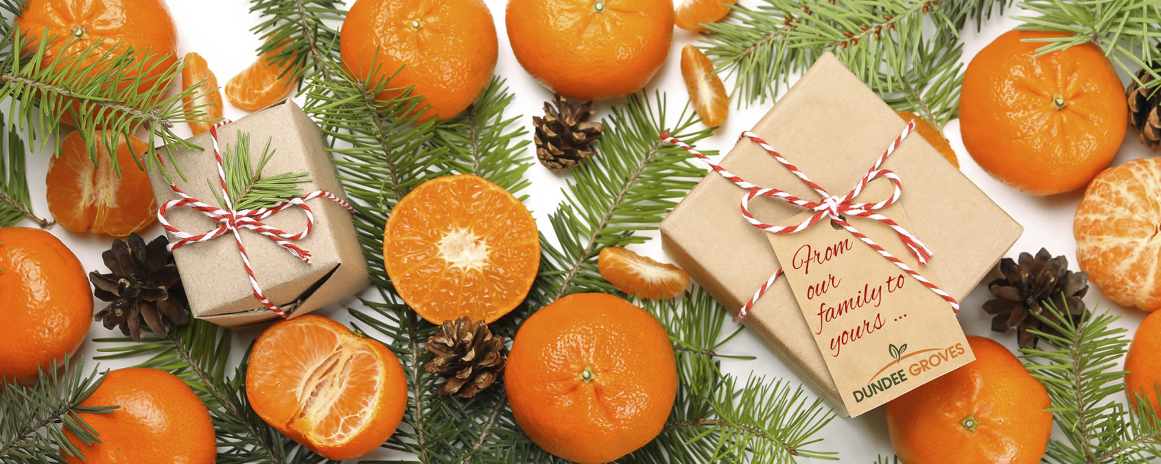 Order Holiday Citrus Gifts