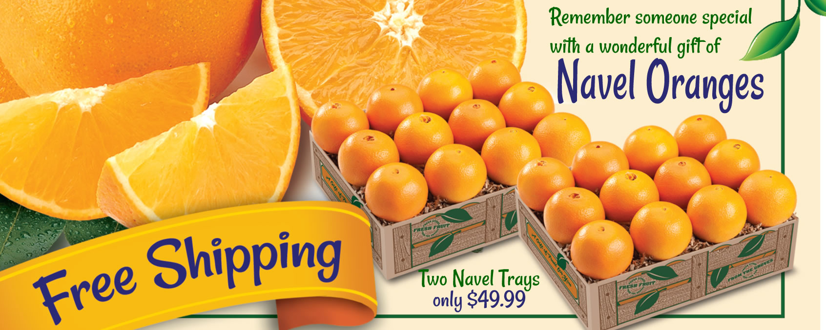 Dundee Groves Fresh Florida Citrus Fruit Delivery