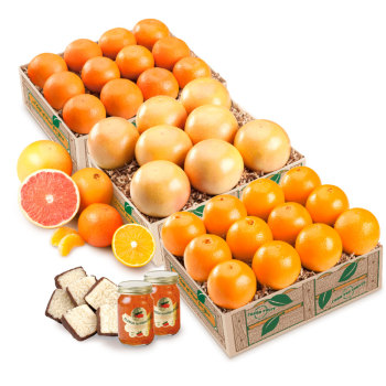 Grand Slam Trio Deluxe Grand Slam Trio Deluxe