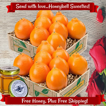 Honeybell Valentine Special