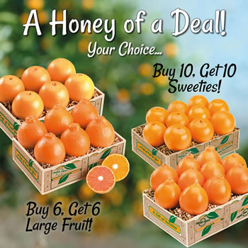A Honey of a Deal Special!