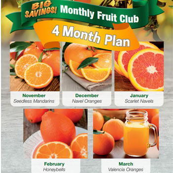 Monthly Club: 4 Months