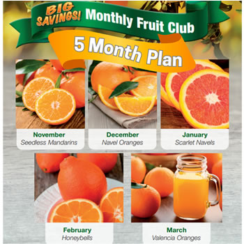 Monthly Club: 5 Months