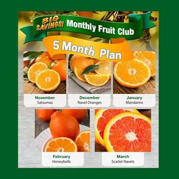 Monthly Club: 5 Months