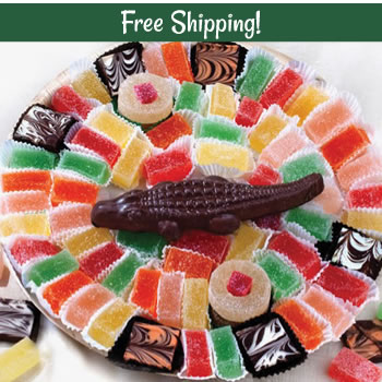 Free Shipping! Fancy Gator Basket