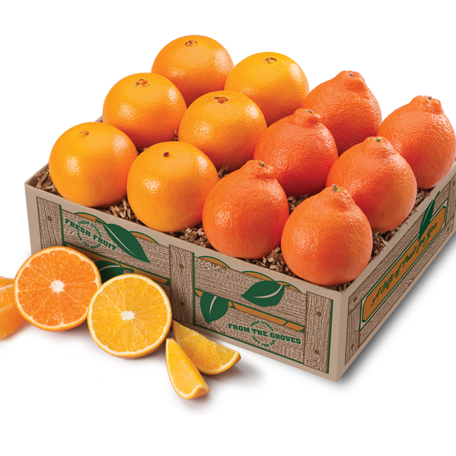 Honeybells & Navels Honeybells & Navels