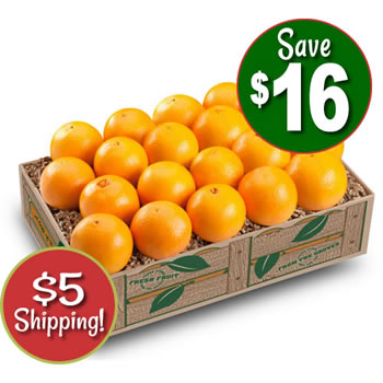 $5 Shipping! Holiday Navel Sweeties