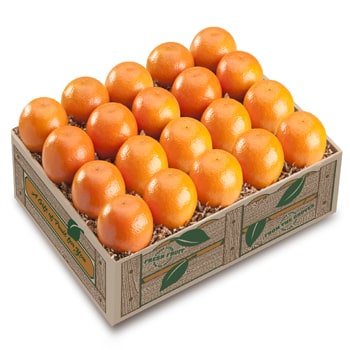 Tangerines (Nov - Mar)