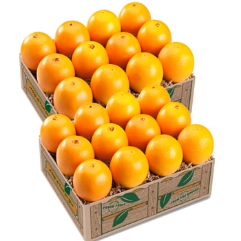 Valencia Oranges (Feb - Mar)