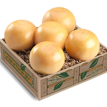 White Grapefruit Taster