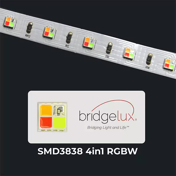 Bridgelux 3838 RGBW