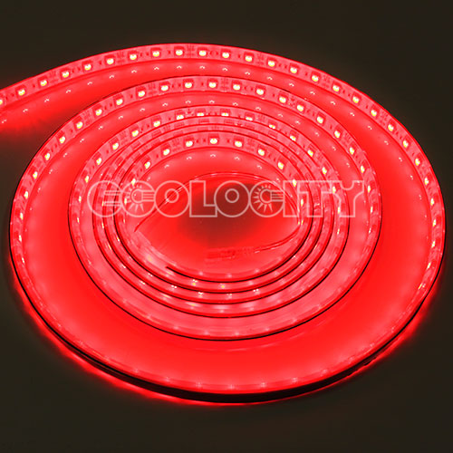 5050 Red Shine