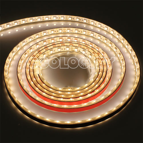 5050 Warm White Shine