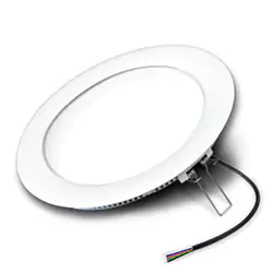 RGBW Downlight