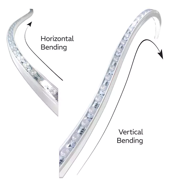 Dual Flex LED Wall Washer