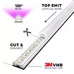 RGBW Interior Detail