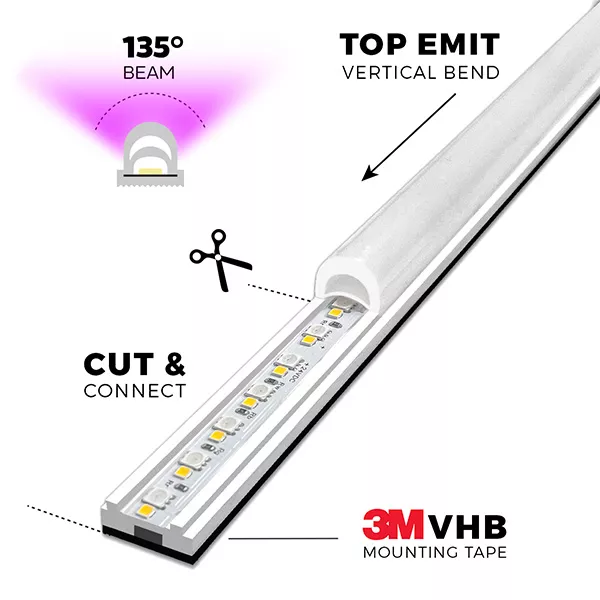 RGBW Interior Detail
