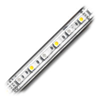 Ribbon Star 50/50, Waterproof LED Strip Light RGB + Warm White - UL 12VDC - 16.4