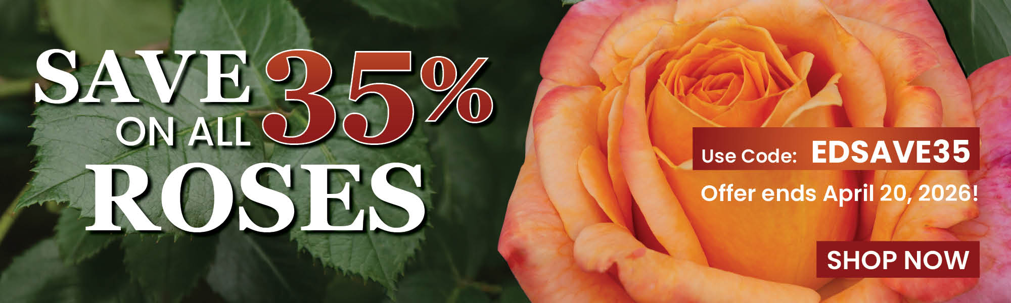 Save 35% On All Roses
