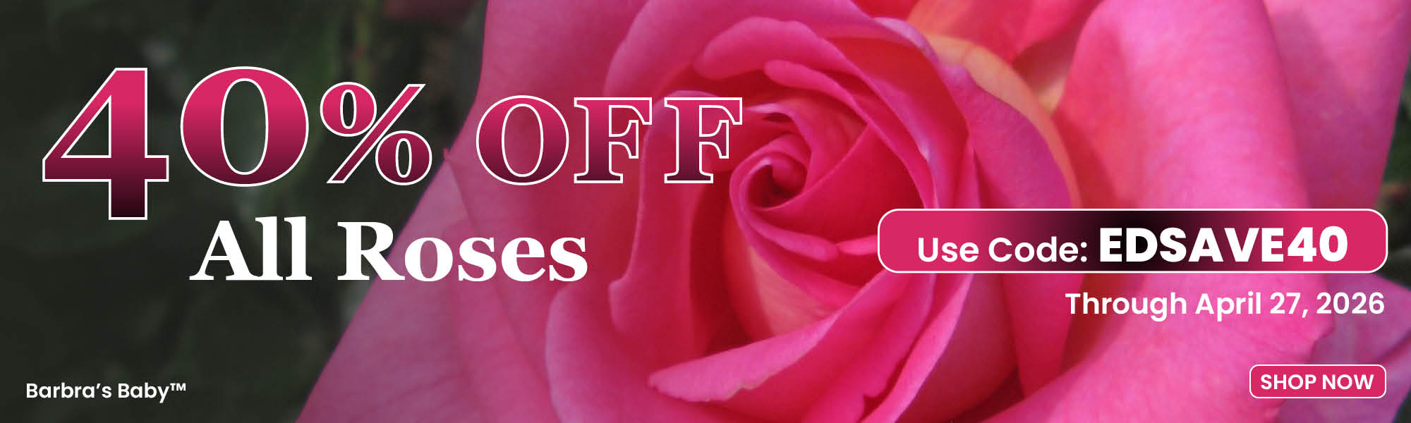40% Off All Roses