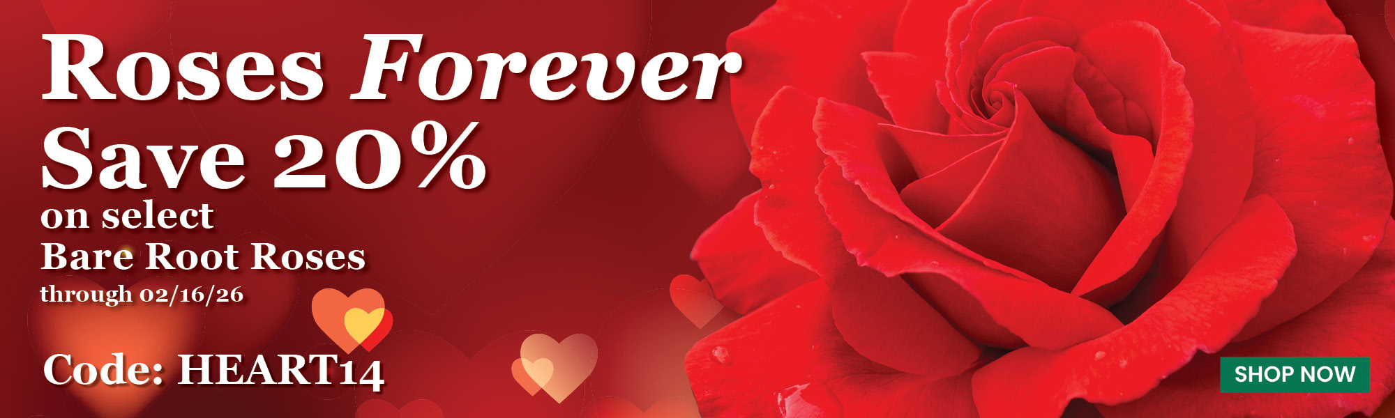 Save on Select Roses for Valentines
