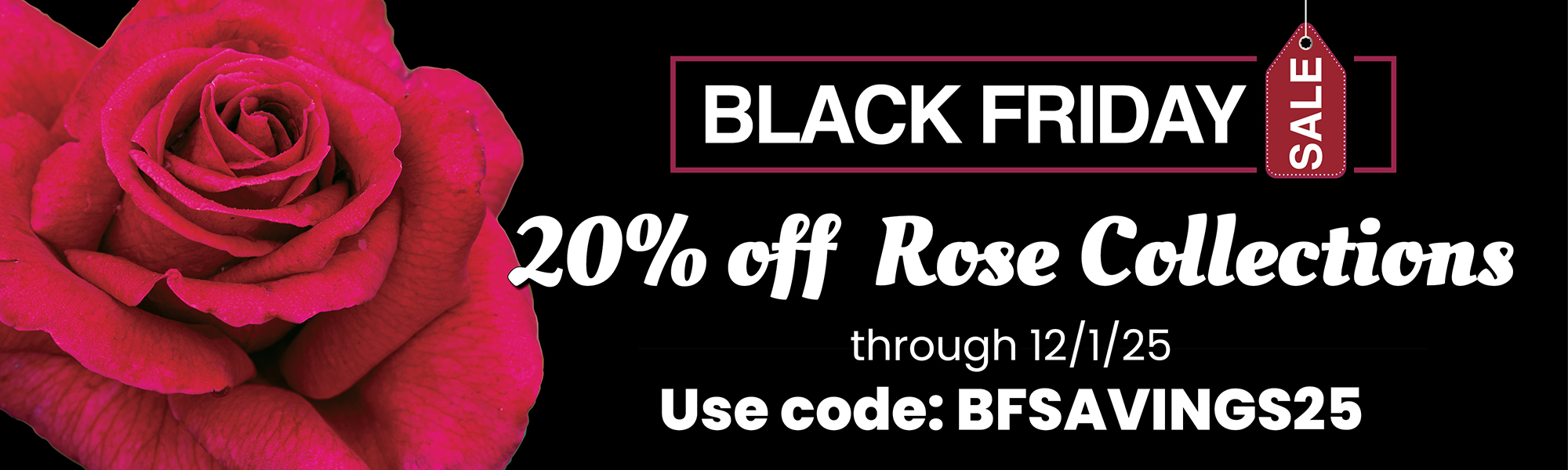 Black Friday Collection Sale