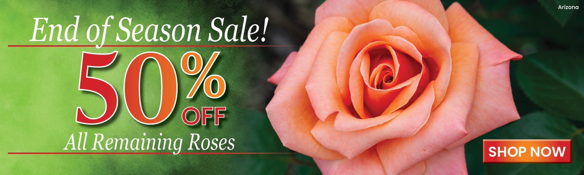 End of Season Rose Sale