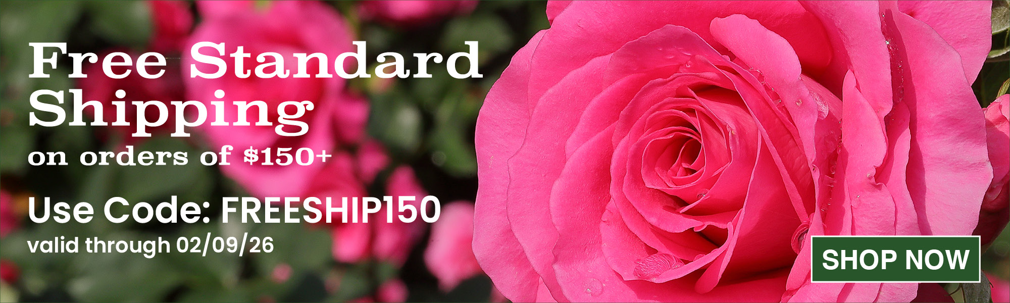 Free Standard Shipping on Orders $150+