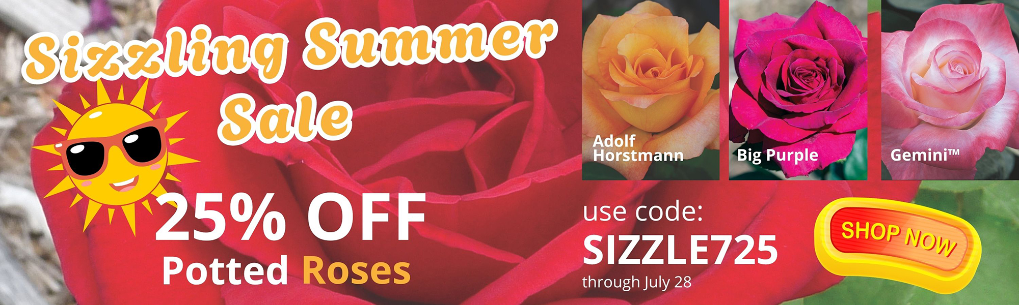 Summer Sale
