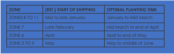 Shipping Times
