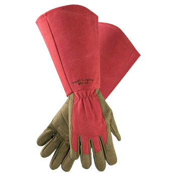 Synthetic Extra Long Rose Gloves Ruby