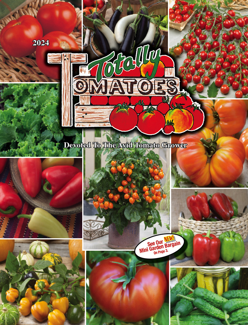 Spring 2024 Totally Tomatoes Catalog, Edmunds' Roses