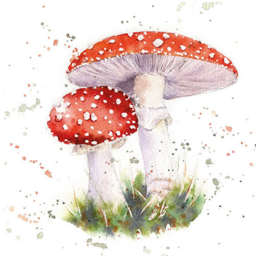 Red Capped Mushroom Lunch Napkins
