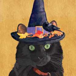 Esmerelda Halloween Cat Beverage Napkin