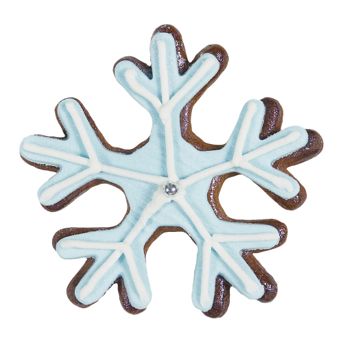 Frosty Snowflake Cookie Cutter