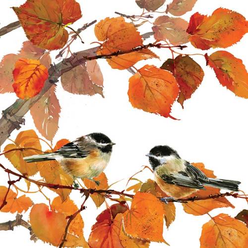 SOS!  Autumn Birds Lunch Napkins