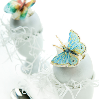 Butterfly Egg Shell Treat How-To