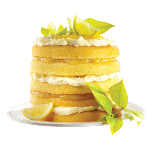 Citrus Burst Cake